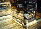 wood rot and log rot